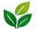 Eco Life